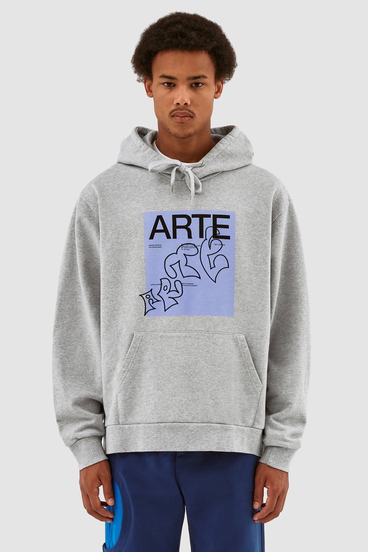 Sweat à capuche Harris Blue Front - Gris