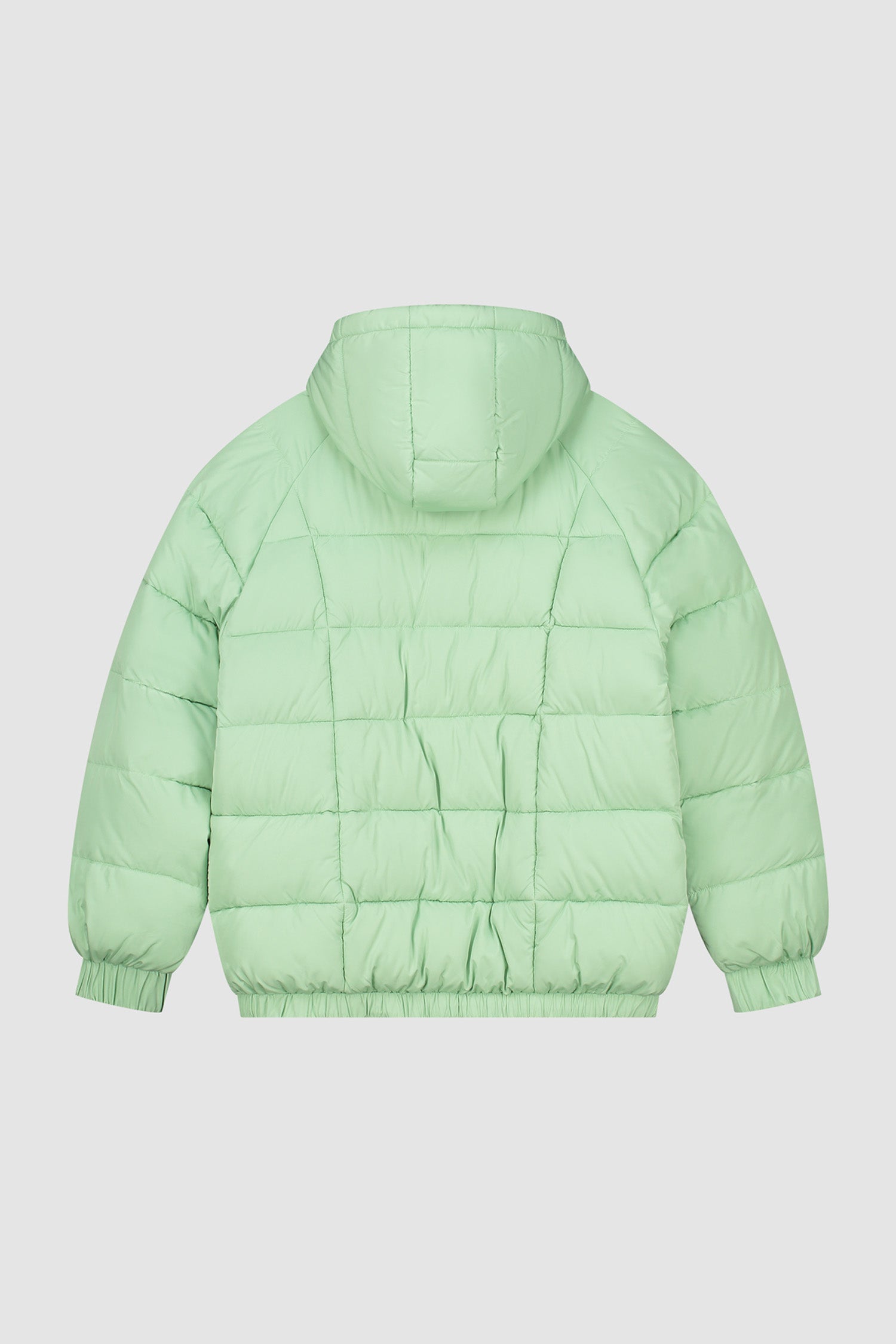 Veste polaire Joey Cuts - Vert clair