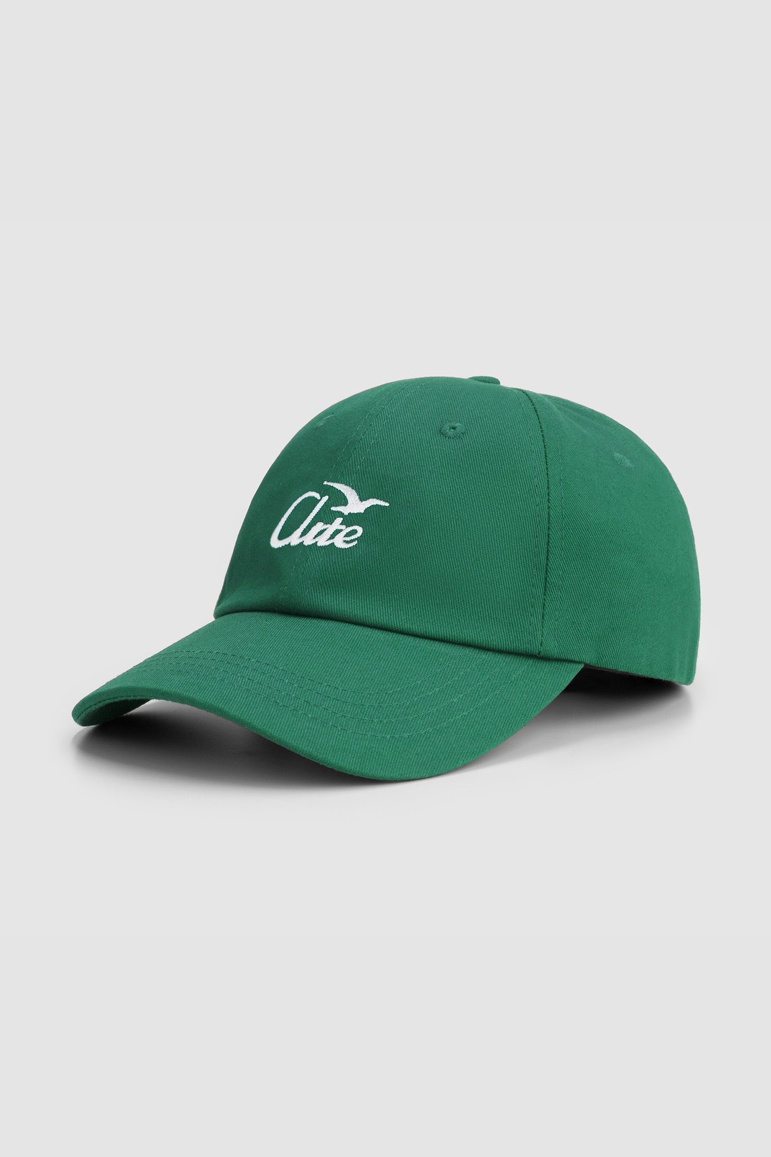 Casquette Bird Logo - Vert