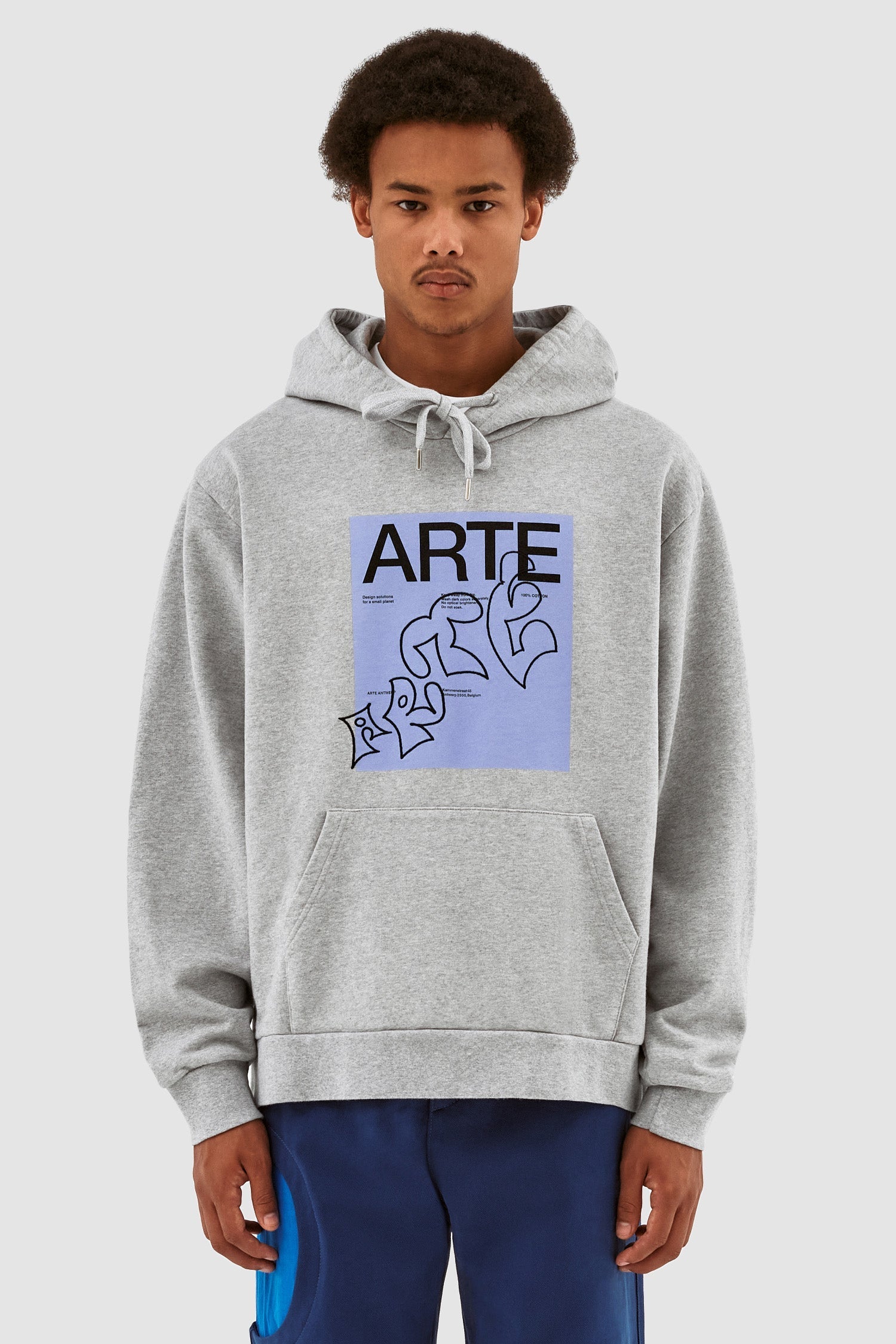 Sweat à capuche Harris Blue Front - Gris
